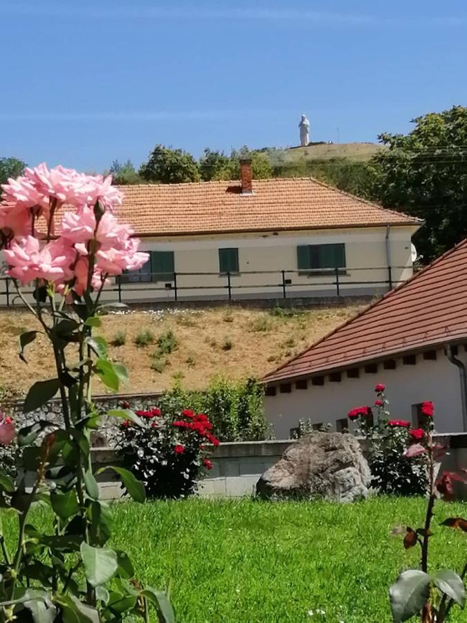 Tarcal Apartman *